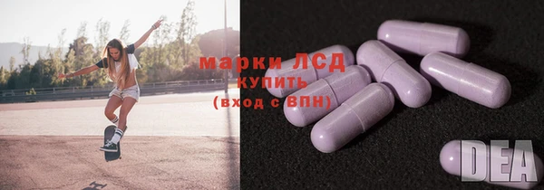 дмт Алзамай