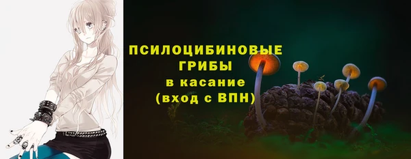 дмт Алзамай
