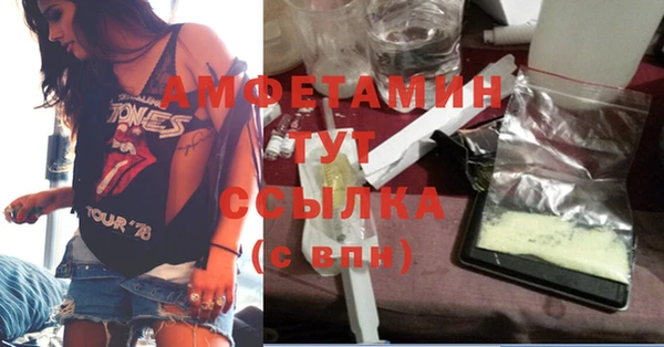 дмт Алзамай