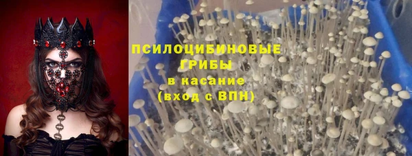 дмт Алзамай